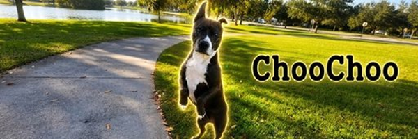 ChooChoo running through the park